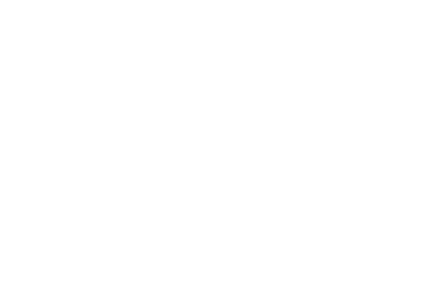 лого